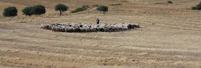 pastores en Patones
